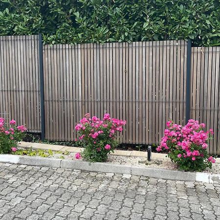 Roses Apartment Prijeten Apartma Za Dve Osebi Mengeš Exterior foto
