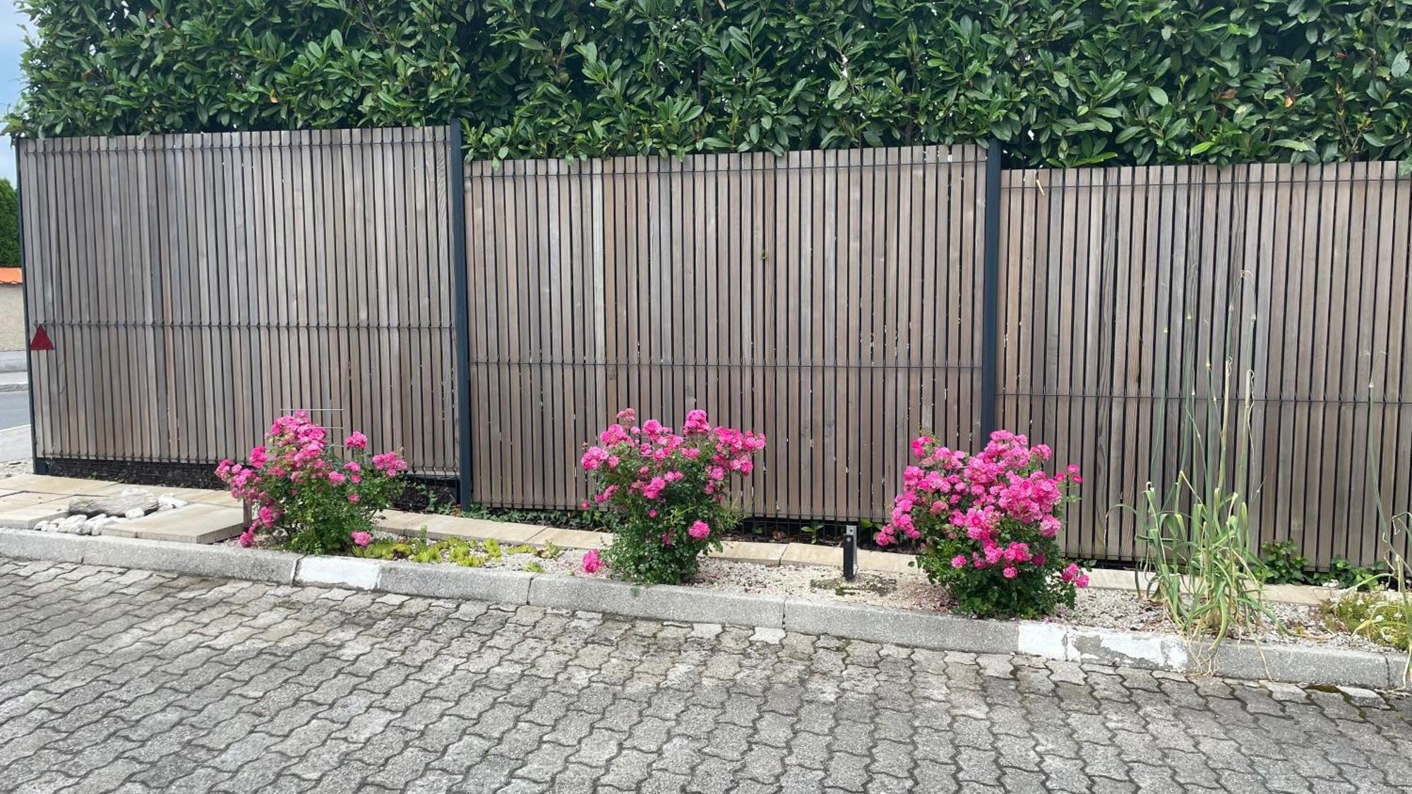 Roses Apartment Prijeten Apartma Za Dve Osebi Mengeš Exterior foto